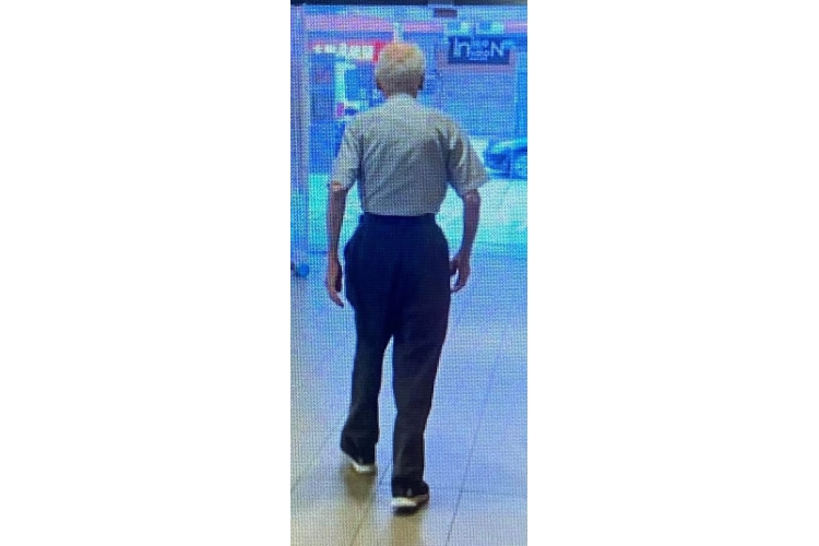 沈伯伯背影 